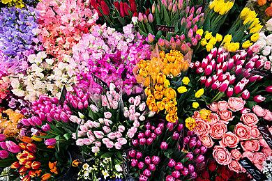 《模拟山羊3》16分钟试玩视频 含致敬《PT》彩蛋